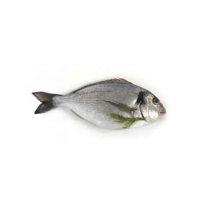 Fresh Sea Bream (Scaled & Gutted - Approx. 400g)