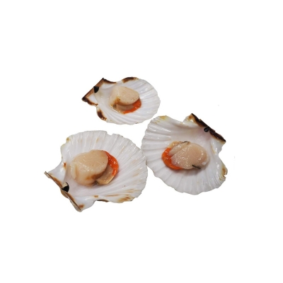 Fresh Large Scallops (4 pieces)