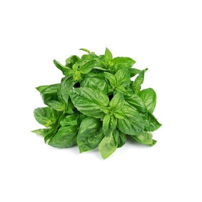 Fresh Italian Basil (1 Bunch - approx.100g)