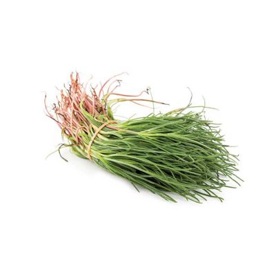 Agretti - Italian Monks Beard (1 bunch, approx. 300g)