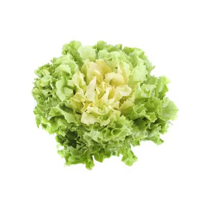 Scarola salad (approx. 500g)