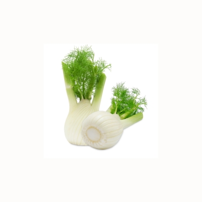 Fresh Italian Fennel (2 pc - approx. 1 kg)