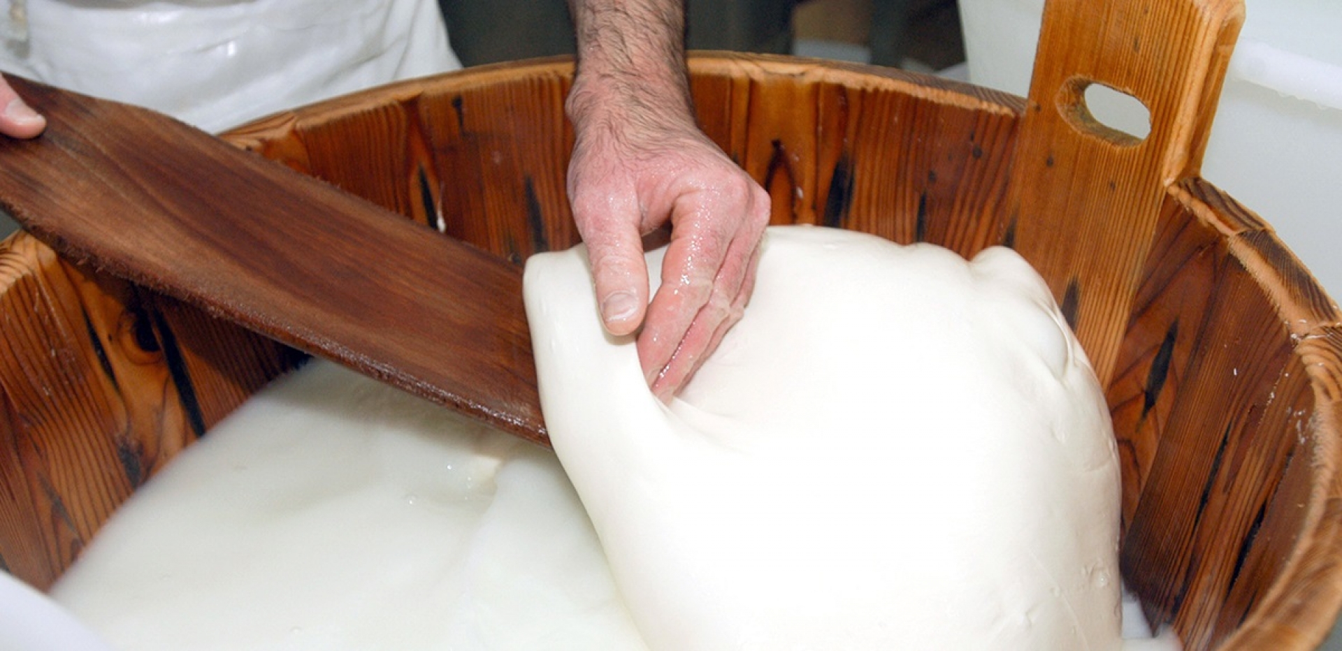 Custom-Size Buffalo Mozzarella